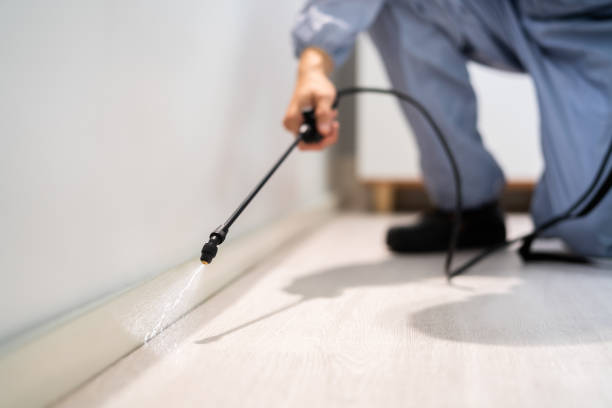 Bed Bug Pre-Treatment Preparation Assessment in East Highland Park