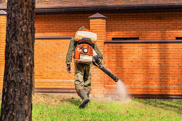 Bed Bug Clearance Verification and Documentation in East Highland Park